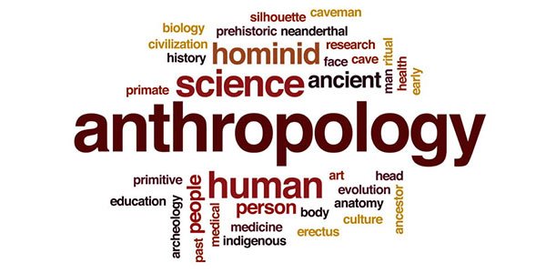 What Jobs Can You Get With An Anthropology Degree? - Ask Degrees