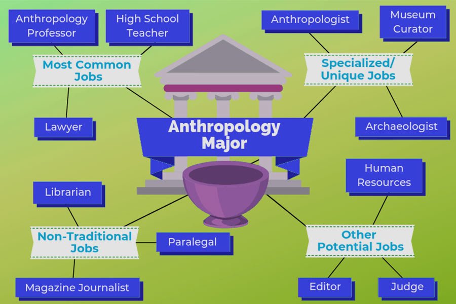 jobs for phd anthropology