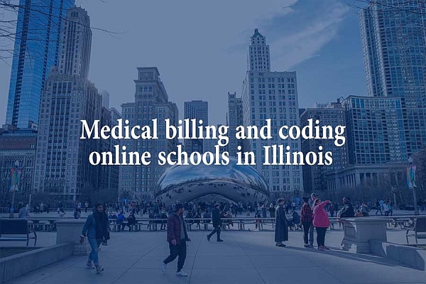 Medical billing and coding online schools in Illinois
