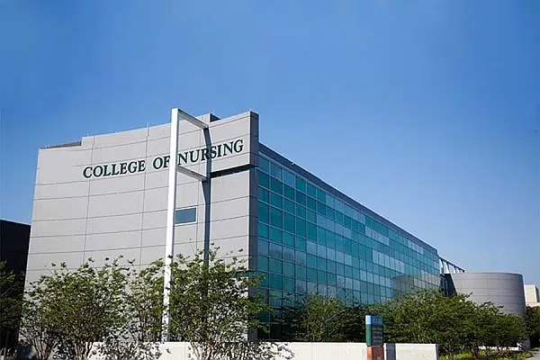 USF Accelerated Nursing Program University of South Florida 1