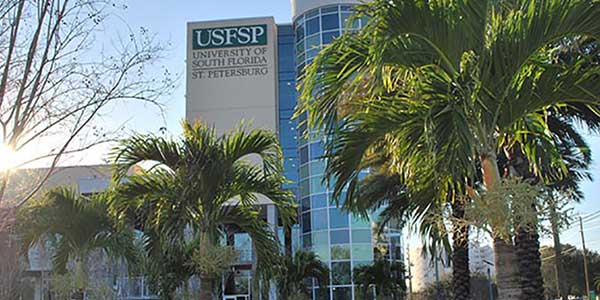 USF Accelerated Nursing Program (University of South Florida) 