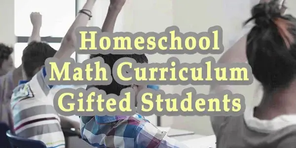 Homeschool Math Curriculum for Gifted Students 1